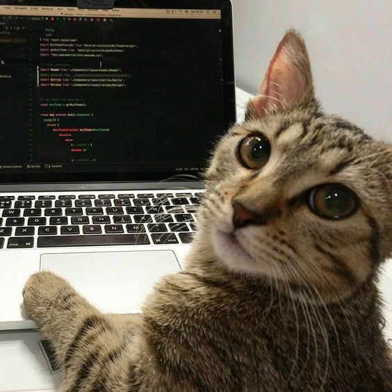 Creative Developer Portrait
